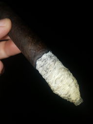 Cigar Session Photo