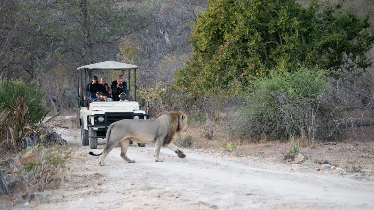 safari tour malawi