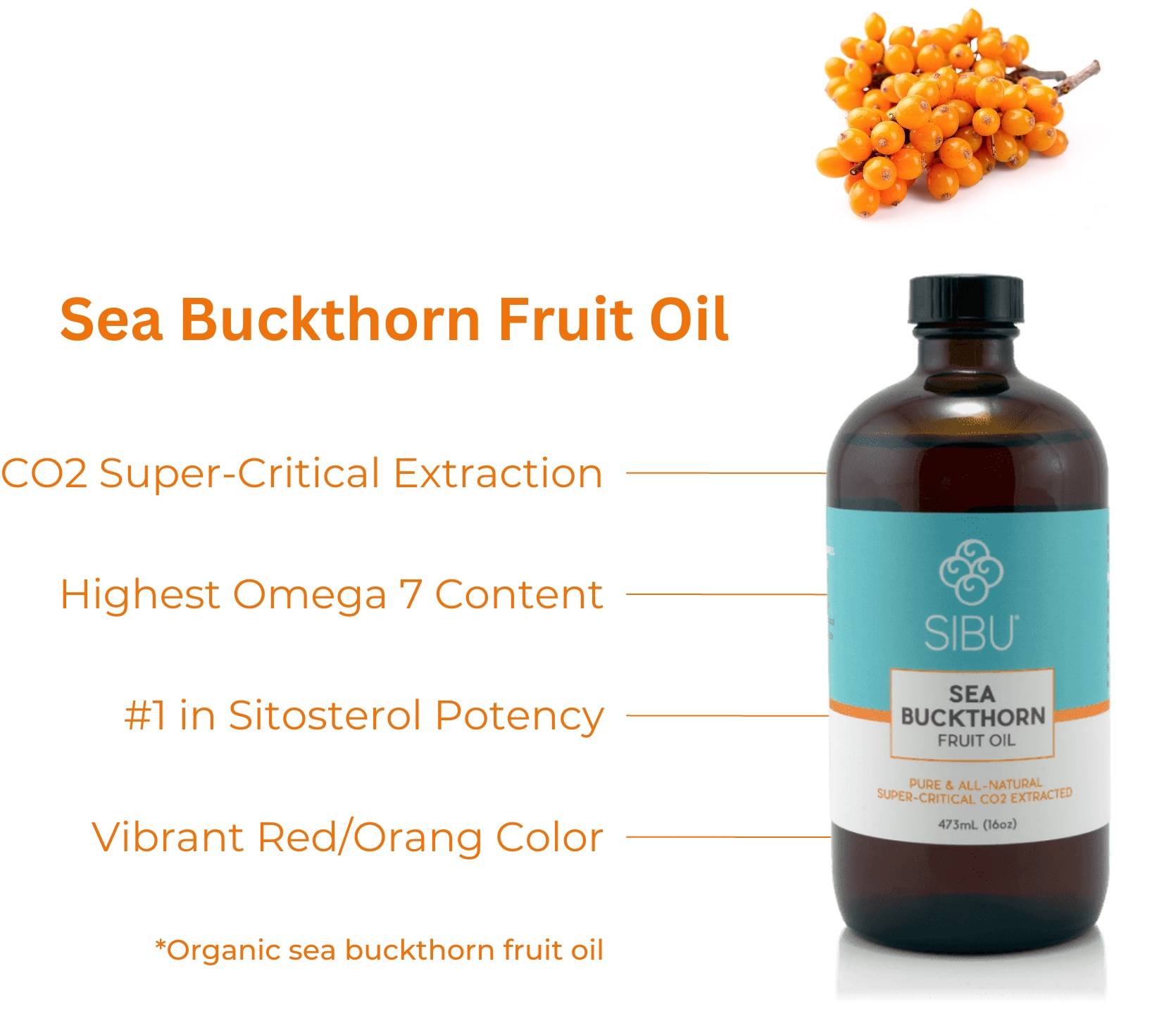 Sea Buckthorn Fruit Oil - Pure & All-Natural, Super-Critical CO2 Extracted