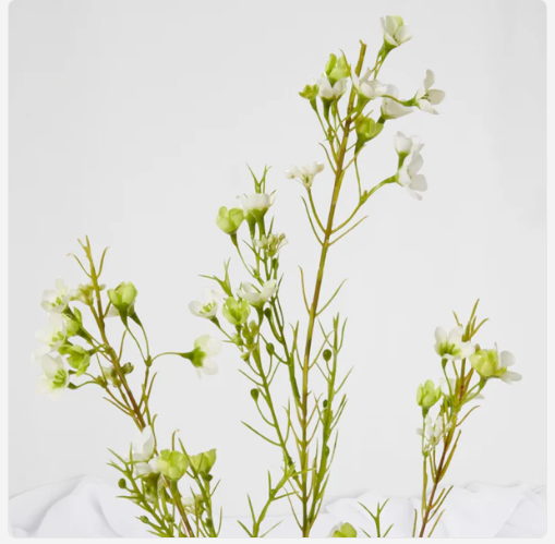 Wax Flower Spray White