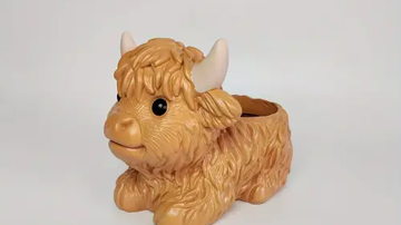 Main Content Image