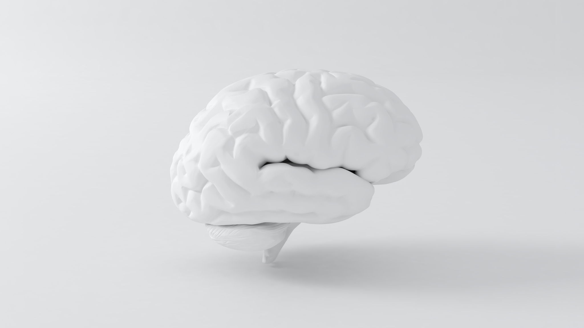 Under Pressure — The Effects of Stress on the Brain - Dr. Michael ...