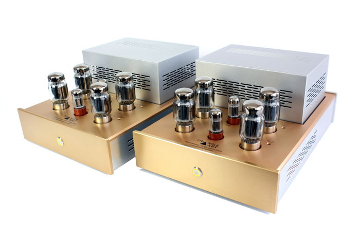 TriangleART Reference Tube Mono Block Amplifier