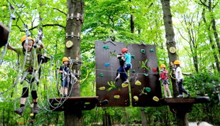 treetree kinder parcour