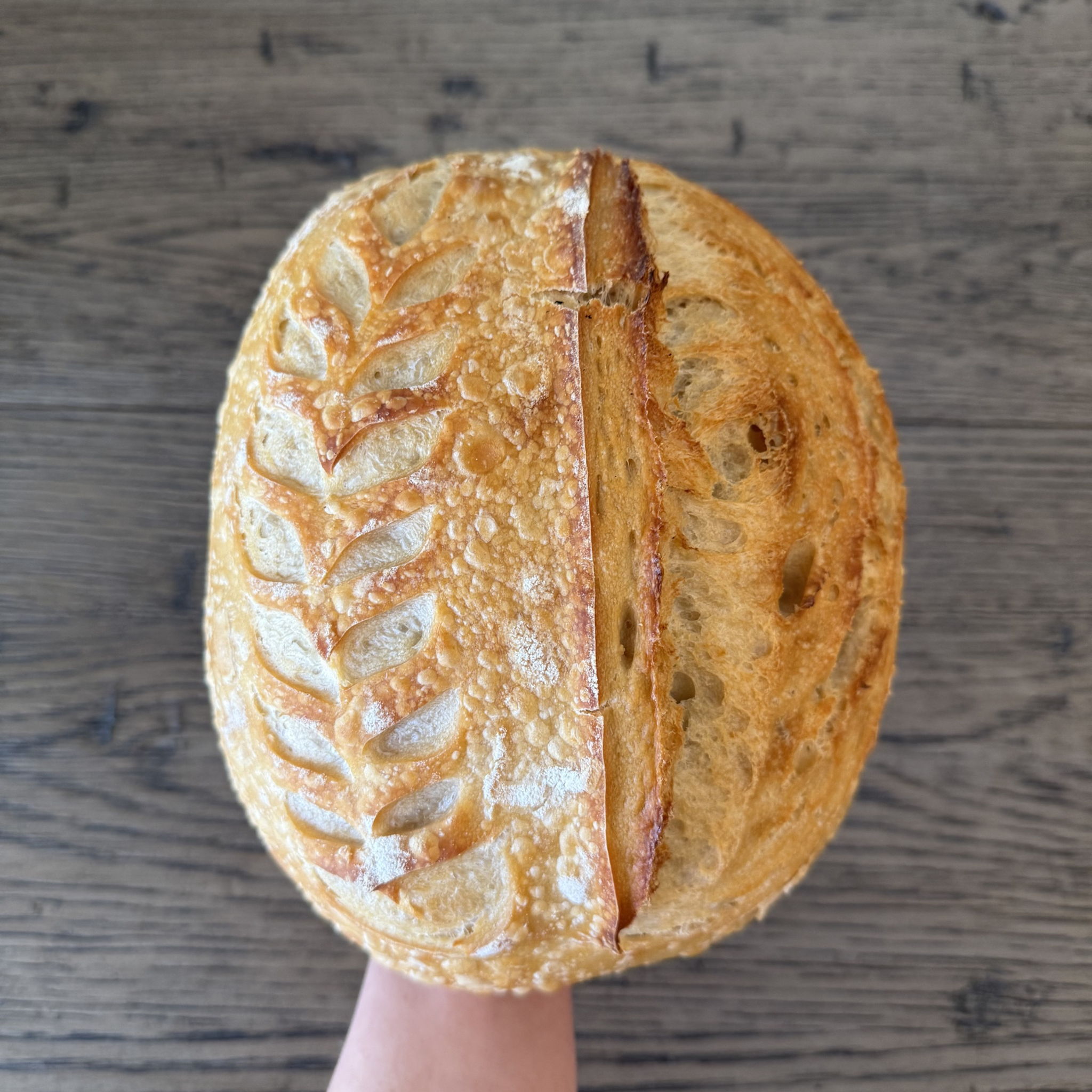 Daily Bread Sourdough AZ — photo from hotplate.com