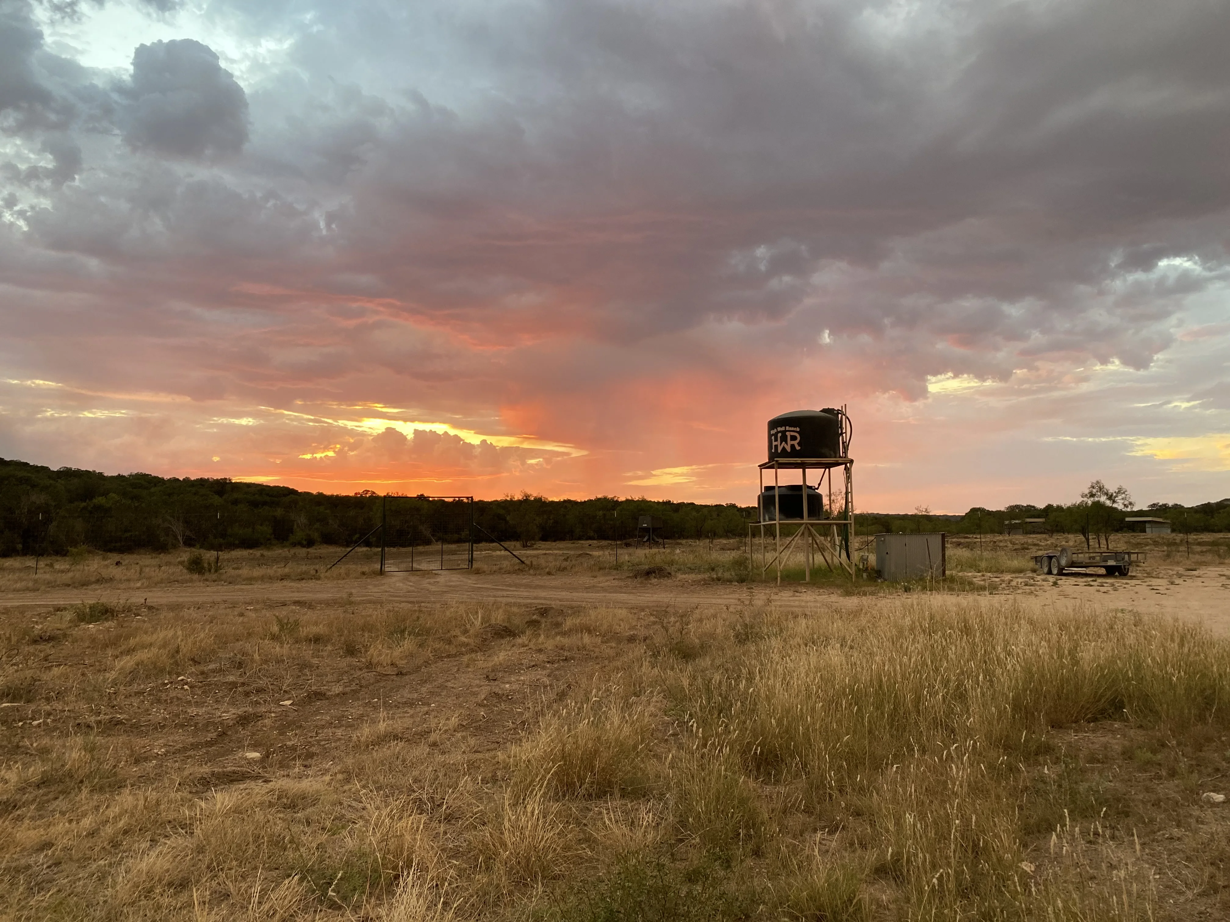 Guided Texas Hunting | Whitetail & Exotic Game at High Well Ranch