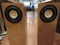The Horn Shoppe Horn Speakers w/ Metal T Frame Spikes 3