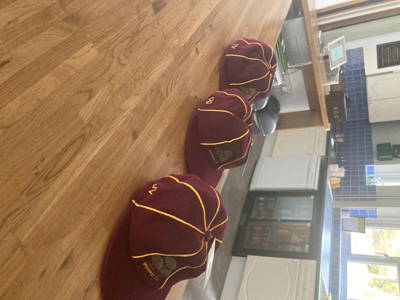 Sparsholt Cricket Club Logo