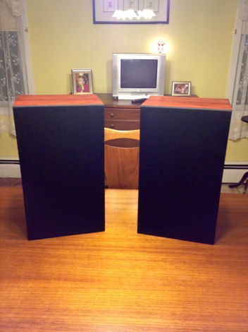 Audio Note AN K speakers rosewood made in UK