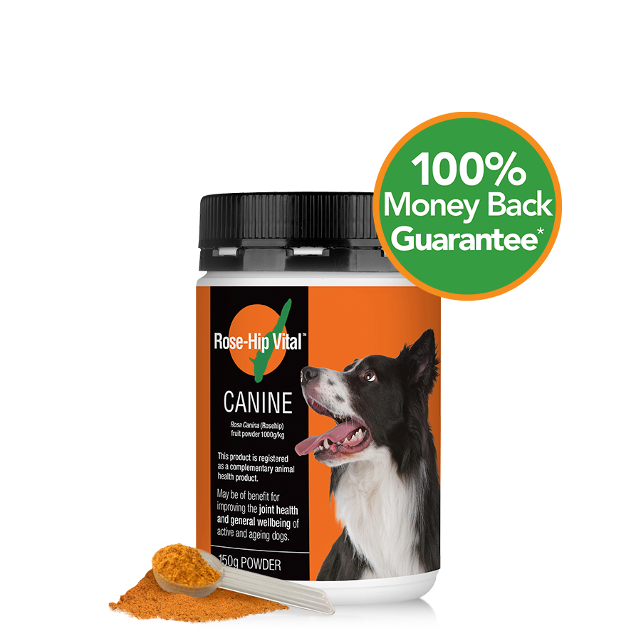 Rose-Hip Vital Canine 500g | For Your Dog