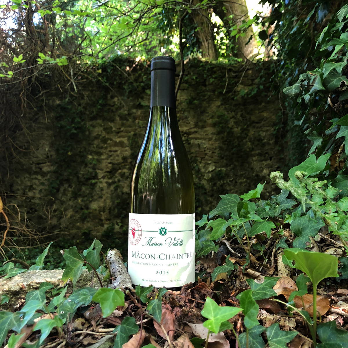 France, vin nature, rawwine, organic wine, vin bio, vin sans intrants, bistro brute, vin rouge, vin blanc, rouge, blanc, nature, vin propre, vigneron, vigneron indépendant, domaine bio, biodynamie, vigneron nature, cave vin naturel, cave vin, caviste, vin biodynamique, bistro brute, Quimper, Finistère , vin d'exception