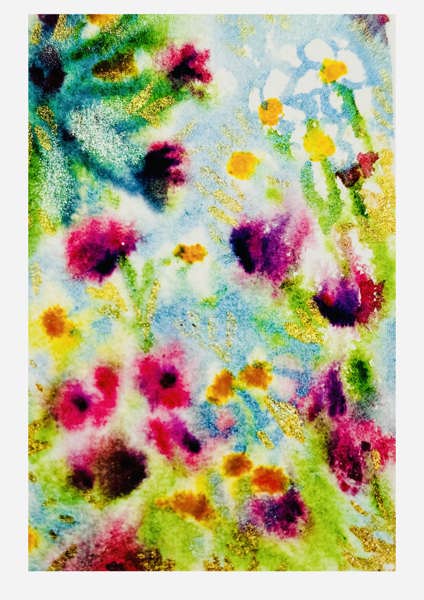 Kunsttrykk januarblomster A5
