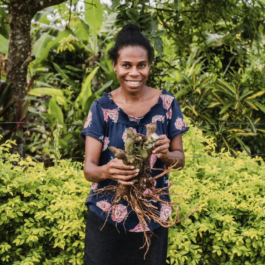vanuatu lady holding kava roots