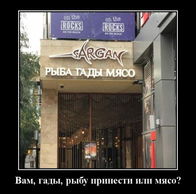 Вам, гады, рыбу принести или мясо?