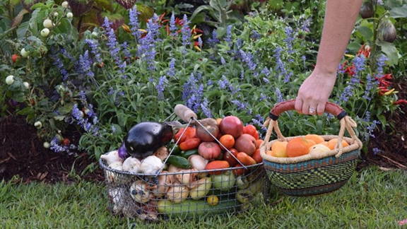 Two baskets full of vegetables in front of a garden. The basket on the right is being held by a hand.