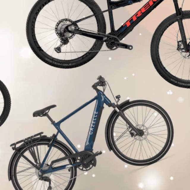 Gazelle and Trek ebike on holiday background