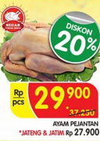 Harga Ayam Kisaran Rp 31 967 Katalog Promo