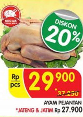 Promo Harga Ayam Pejantan 1 Ekor Di Superindo Katalog Promo