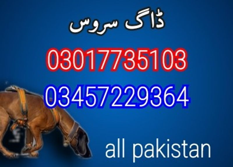 https://ucarecdn.com/c3f04e68-3753-44cd-b6f6-a2129a9c0a42/ cover