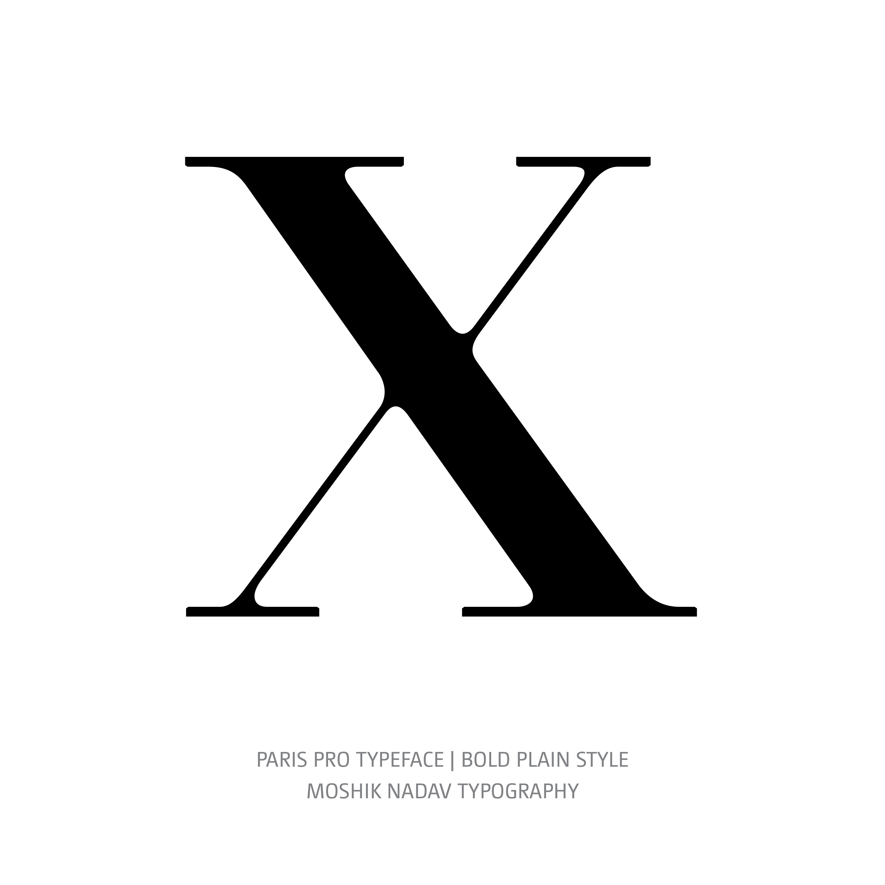 Paris Pro Typeface Bold Plain X