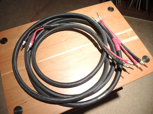 Audio Art Cable Statement II  8 FT PAIR - REDUCED