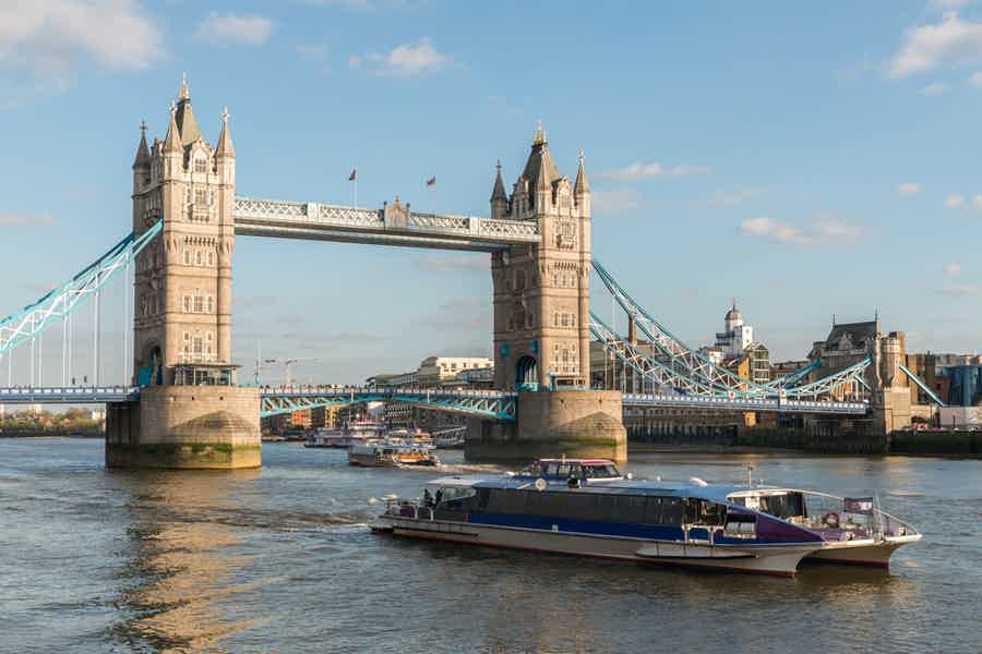 River Thames Hop-On Hop-Off Sightseeing Cruise - photo 5