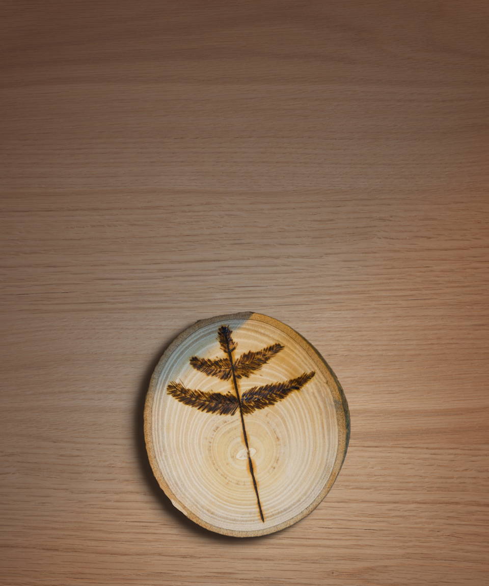 A leaf burned into wood for Confetti's Virtual Wood Burning Class