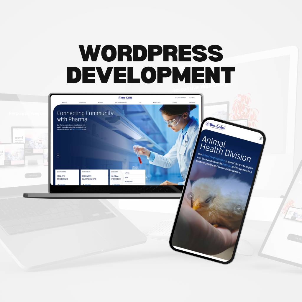 Responsive CSS developers developer - Awais H.'s portfolio image