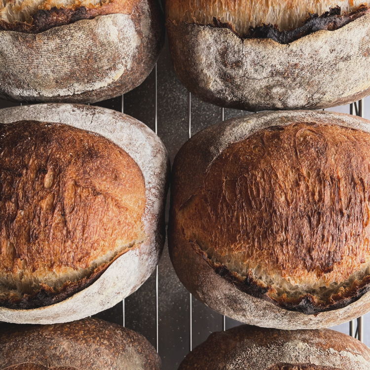 Mel Little👩🏻‍🍳🥖 — photo from hotplate.com