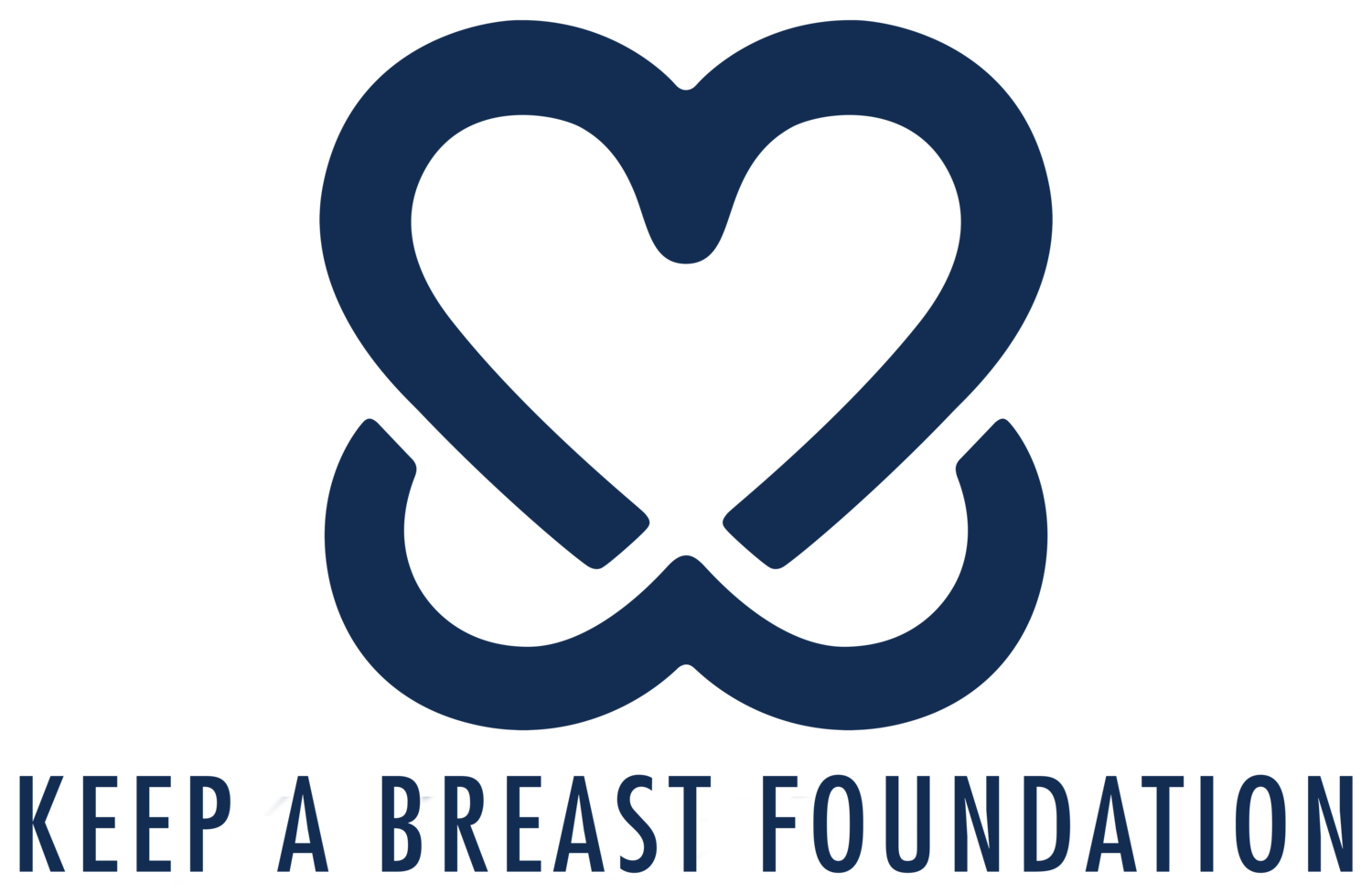Keep a Breast Foundation logo