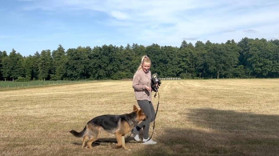 Training mit Hund und Schleppleine