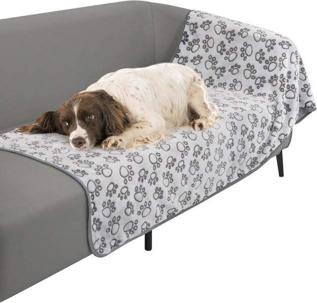 Camas para perros