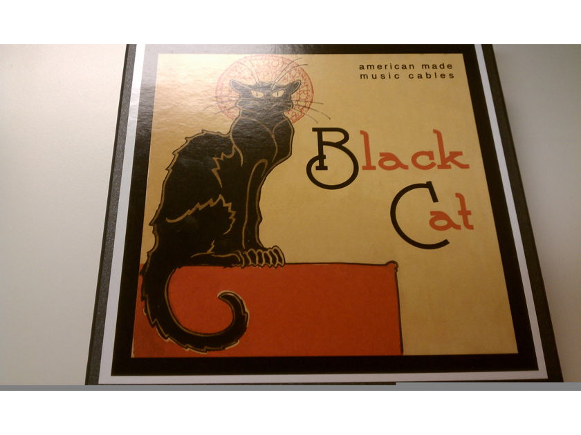 Black Cat Silverstar! usb cable