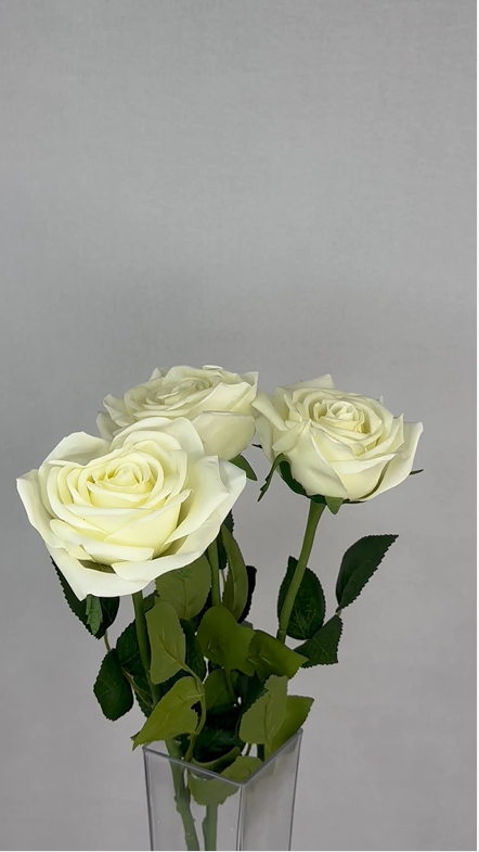 Off White Natural Real Touch Rose - Realistic Artificial Flowers - Image 5