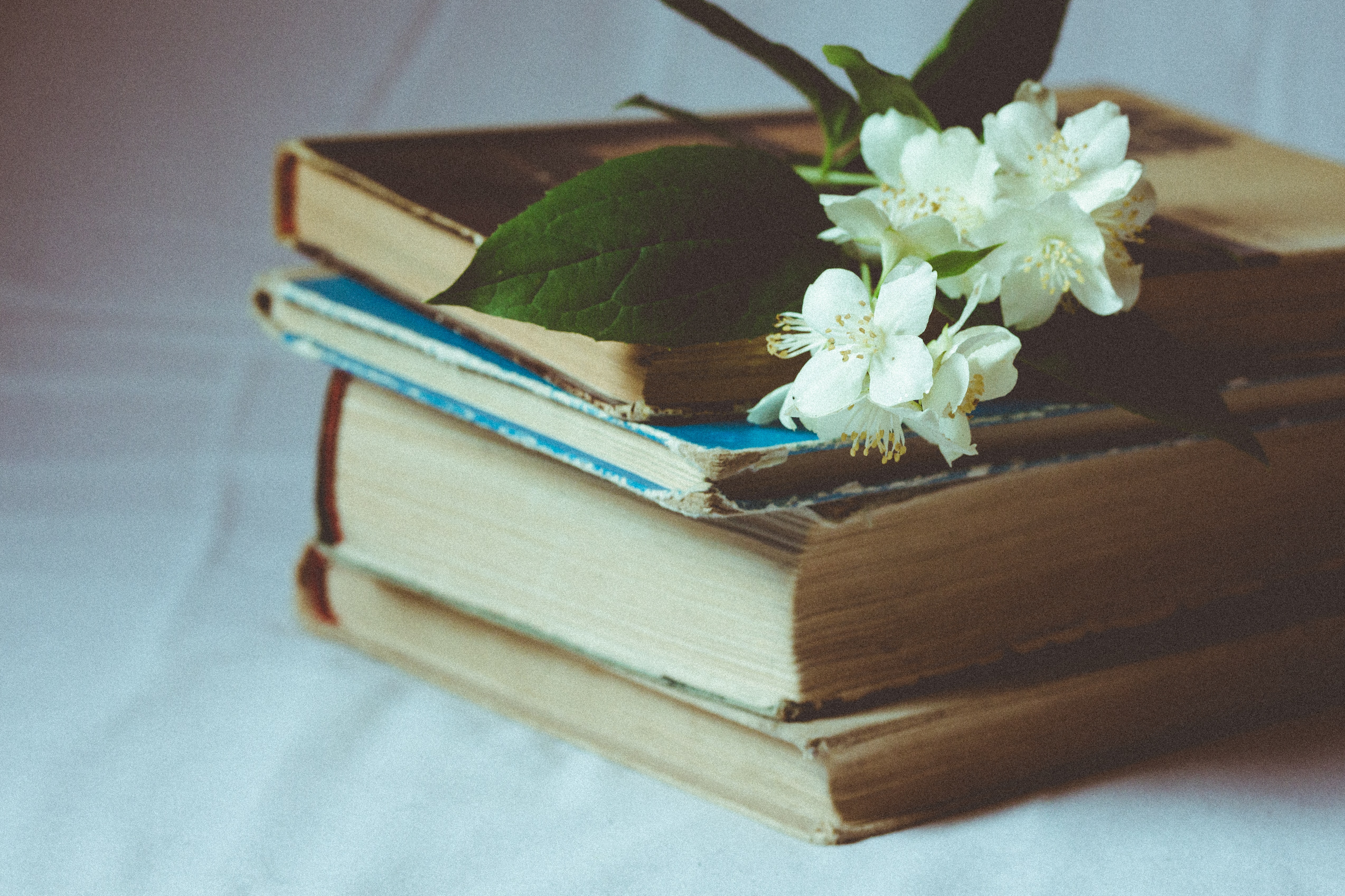 Several books stacked on top of each other and white flowers sitting on top.