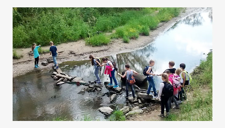 kindergeburtstag dues