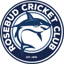 Rosebud Cricket Club logo