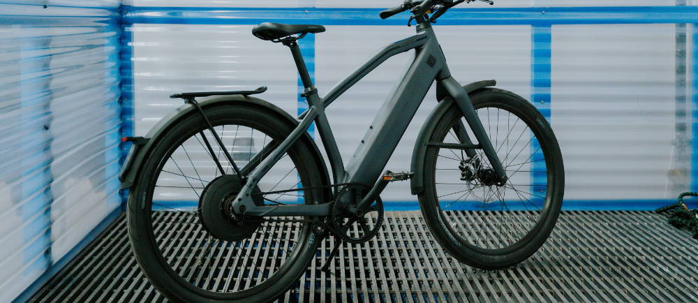 Riese and Muller electric bike