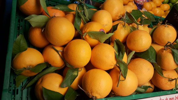 Orange tarocco