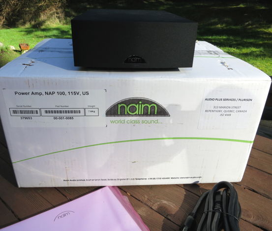 Naim Audio 50 Watt Two Channel Stereo Amplifier NAP100 ...