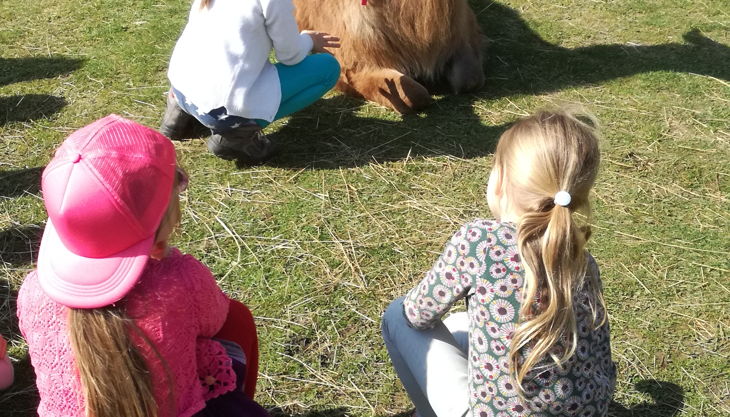 kindergeburtstage mit lamas in gelsenkirchen essen nrw prachtlamas beate pracht