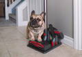 Maircle Professional Pet Vacuum Cleaner
