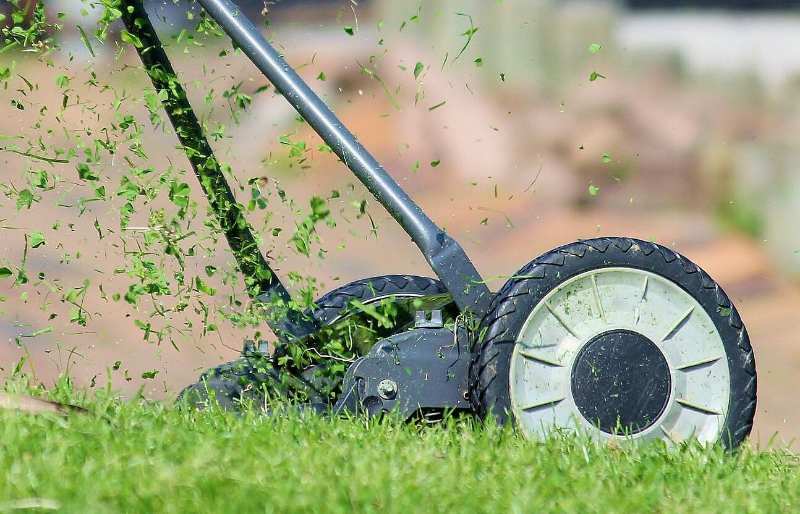 Precautions With Yard Work After Cataract Surgery