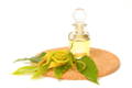 Ylang-Ylang Essential Oil