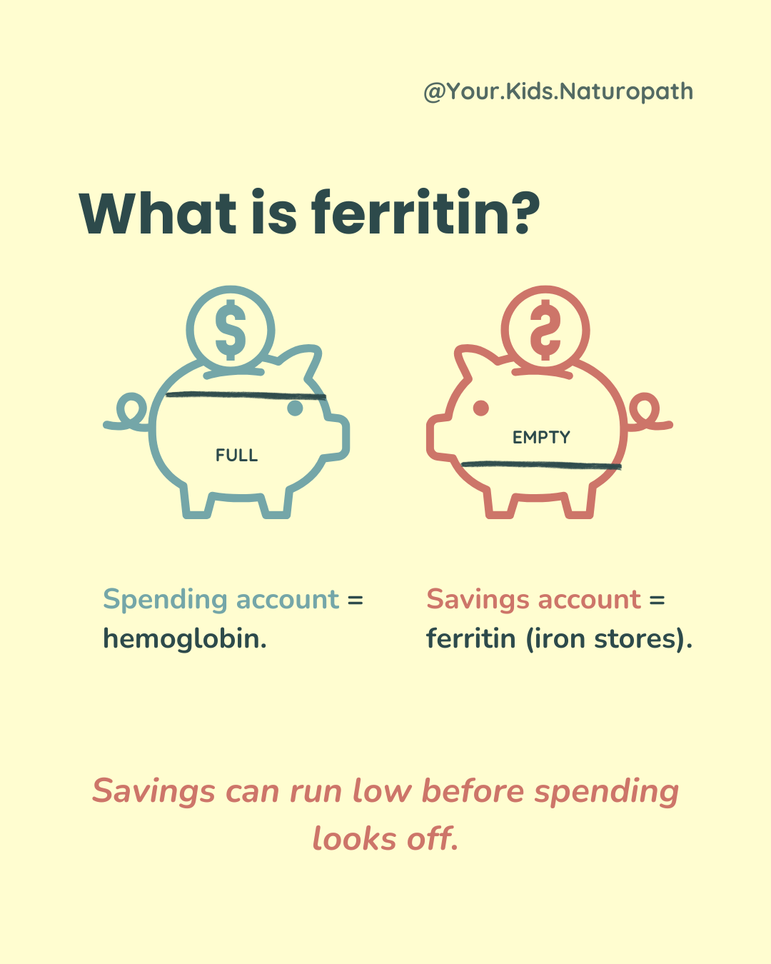 Infographic comparing two piggy banks: a full spending account labelled hemoglobin and an empty savings account labelled ferritin (iron stores), showing that iron stores can run low before a blood count looks off