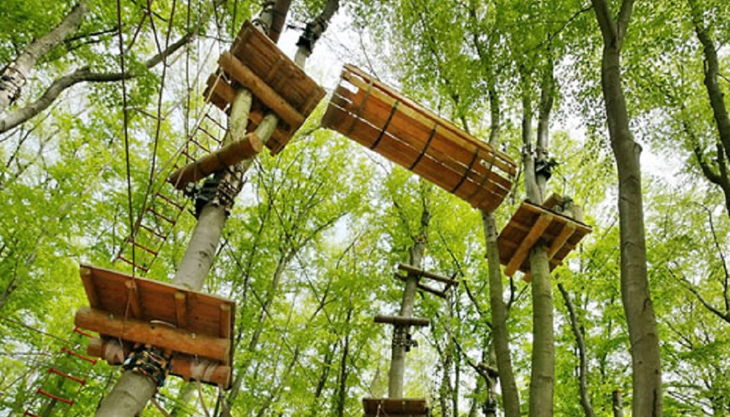 abenteuerpark potsdam blick in die baumkronen