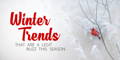 Winter Trends that are a Legit Buzz this Season