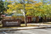 Roseland Child Development Center
