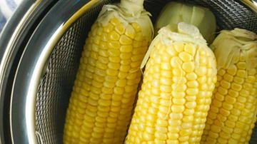 Main Content Image