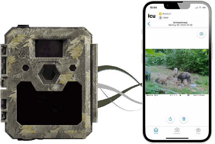 Wireless game cameras for hunting & surveillance | ICUserver GmbH